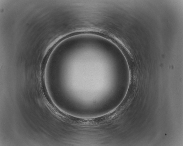 X0000086291460200703301123