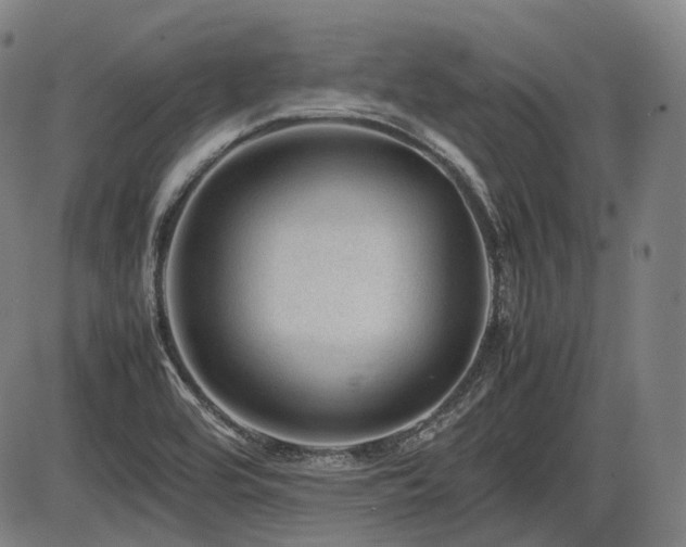 X0000086291464200703301123