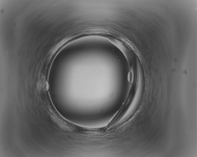 X0000086291465200703301123