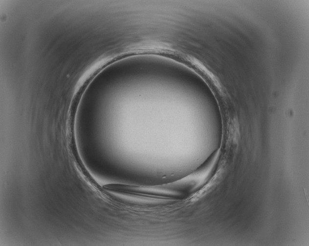 X0000086291469200703301123