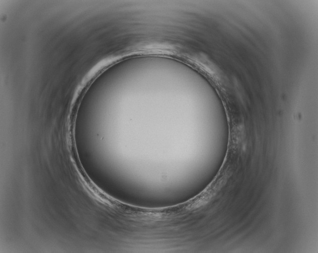 X0000086291470200703301123