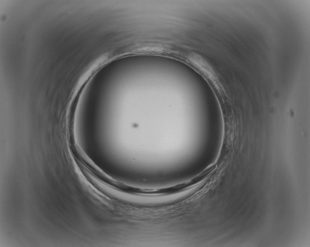 X0000086291475200703301123