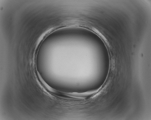 X0000086291477200703301123