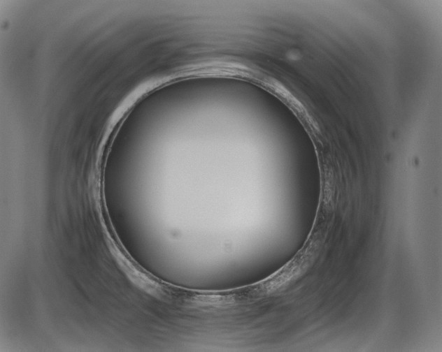 X0000086291478200703301123