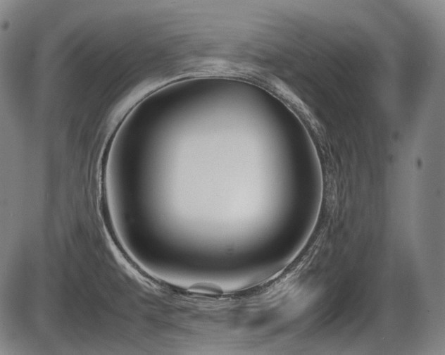 X0000086291479200703301123