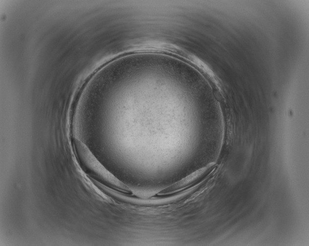 X0000086291480200703301123