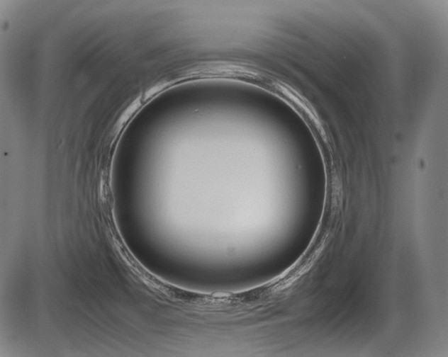 X0000086291481200703301123