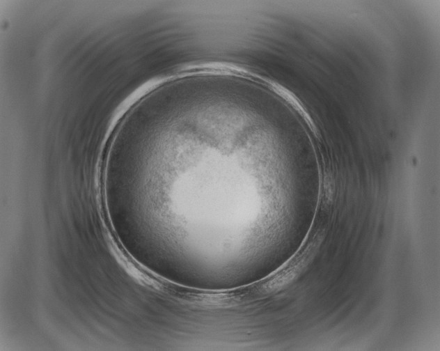 X0000086291482200703301123
