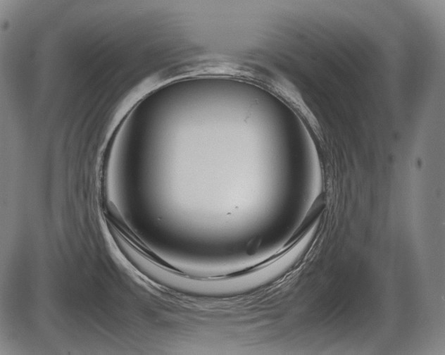 X0000086291483200703301123