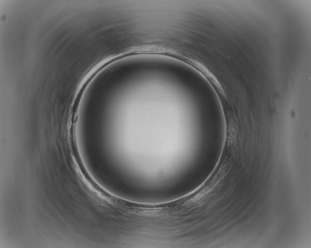 X0000086291484200703301123