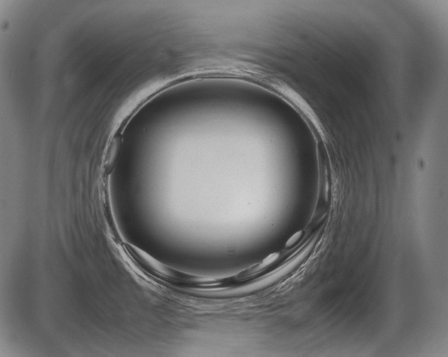 X0000086291485200703301123