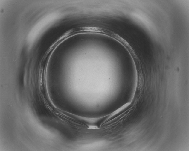 X0000086291487200703301123