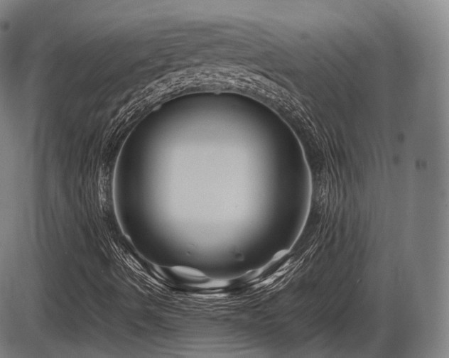 X0000086291490200703301122