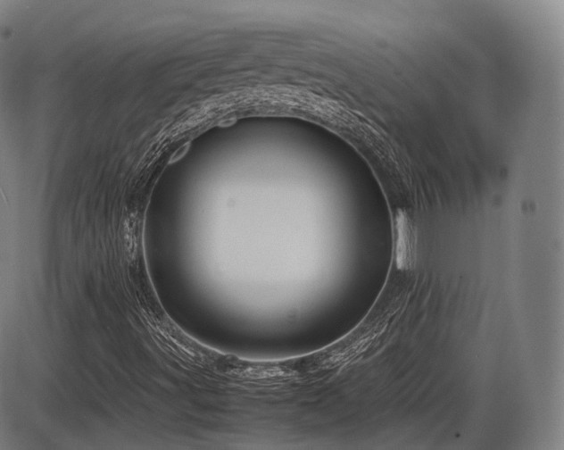 X0000086291491200703301122
