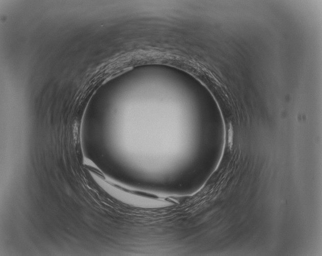 X0000086291492200703301122