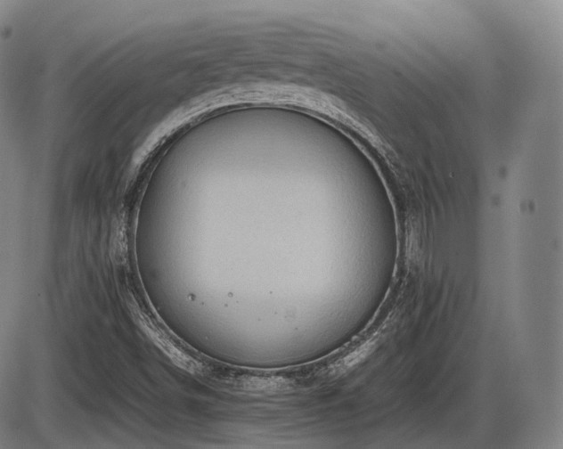 X0000086291498200703301122