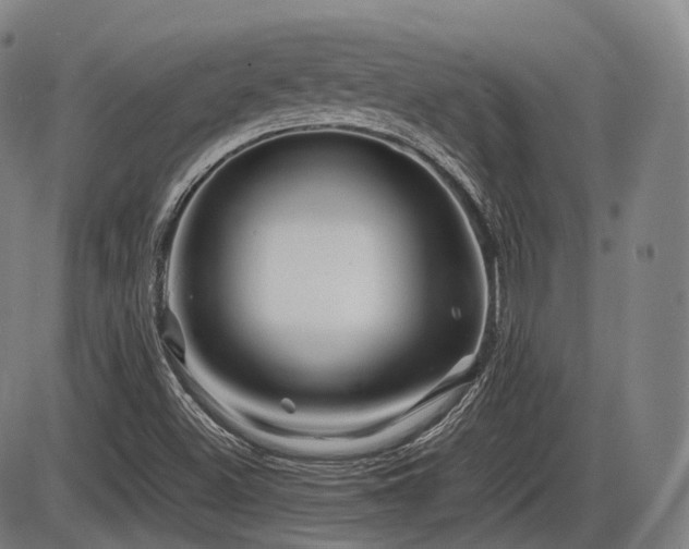 X0000086291500200703301122