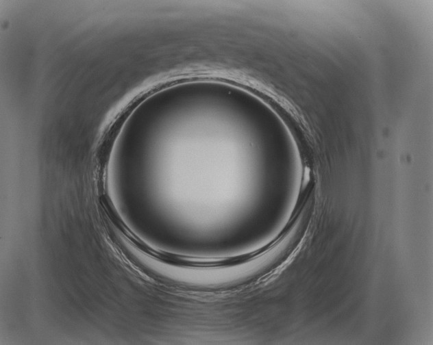 X0000086291502200703301122