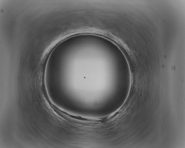 X0000086291504200703301122