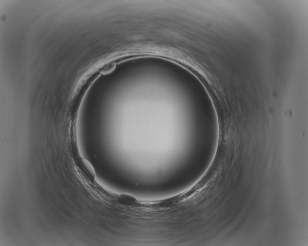 X0000086291507200703301122