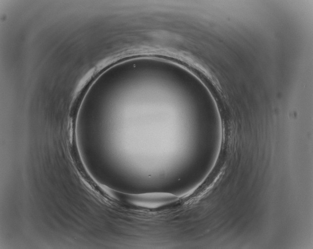 X0000086291509200703301122