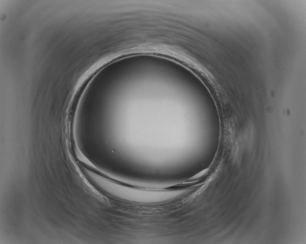 X0000086291517200703301122