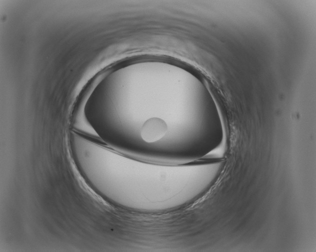 X0000086291518200703301122