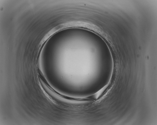 X0000086291521200703301123