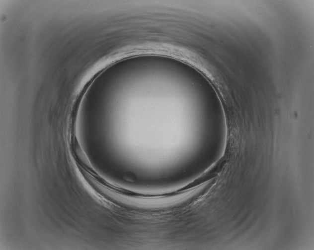 X0000086291523200703301123