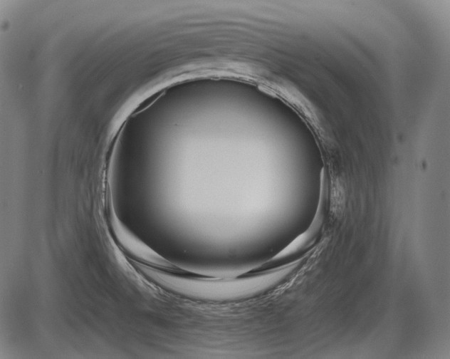 X0000086291524200703301123