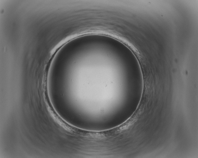 X0000086291526200703301123
