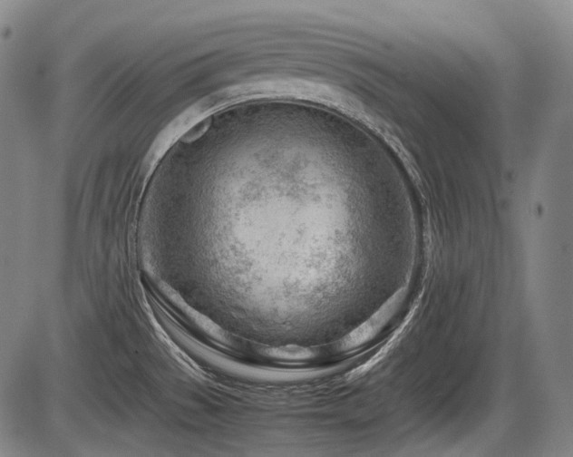 X0000086291529200703301123