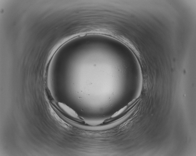X0000086291532200703301123