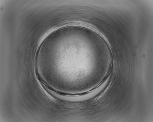 X0000086291533200703301123