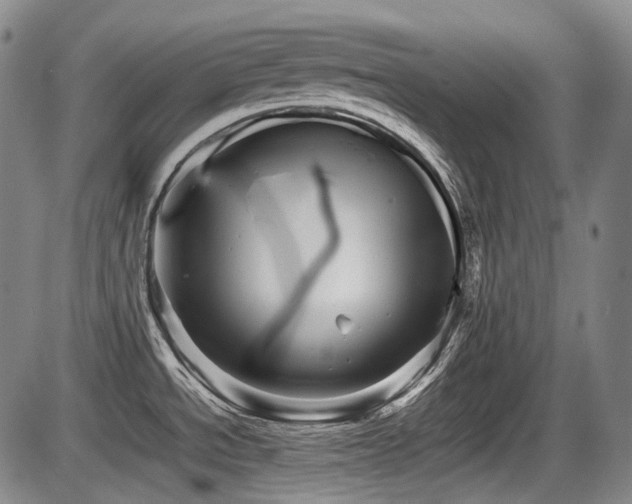 X0000086291534200703301123