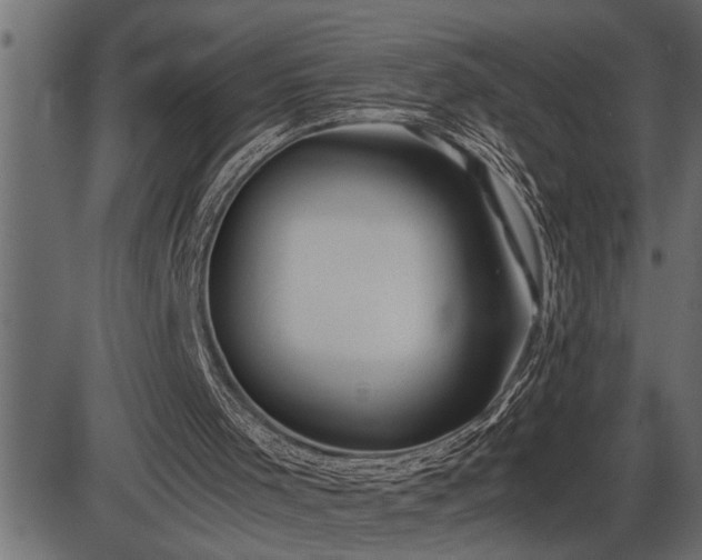 X0000086290001200704091007