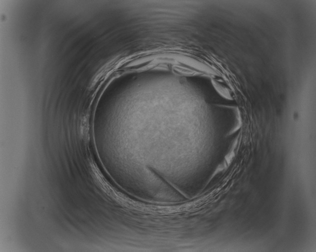 X0000086290002200704091007