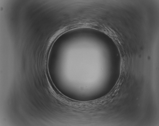 X0000086290003200704091007