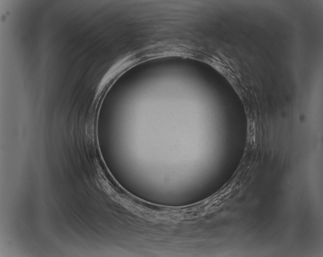 X0000086290004200704091007