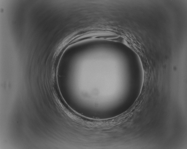 X0000086290005200704091007