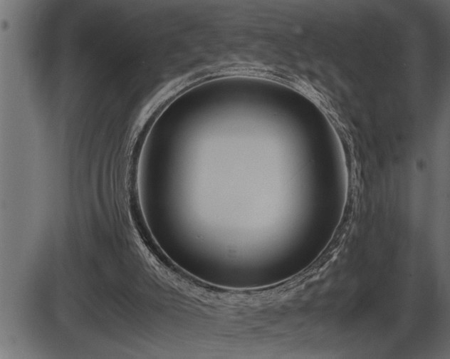 X0000086290007200704091007