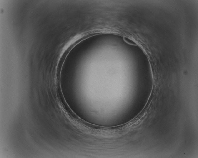 X0000086290008200704091007