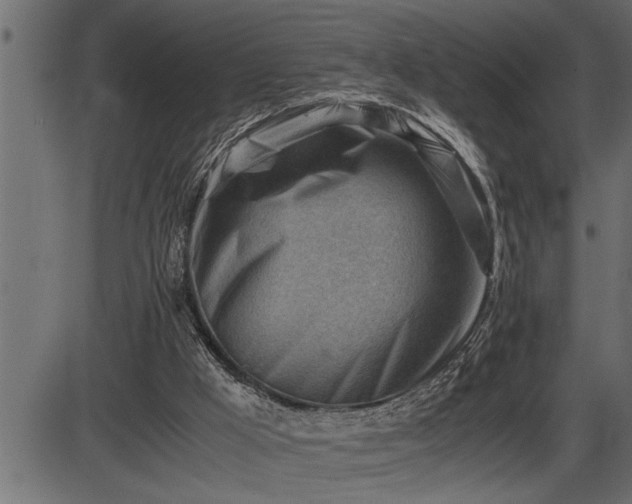X0000086290009200704091007