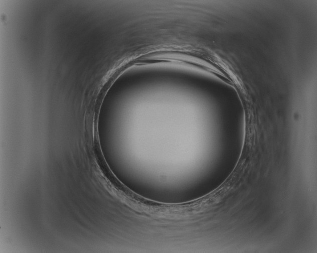 X0000086290011200704091007