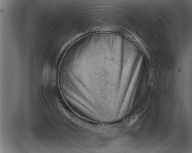 X0000086290012200704091007