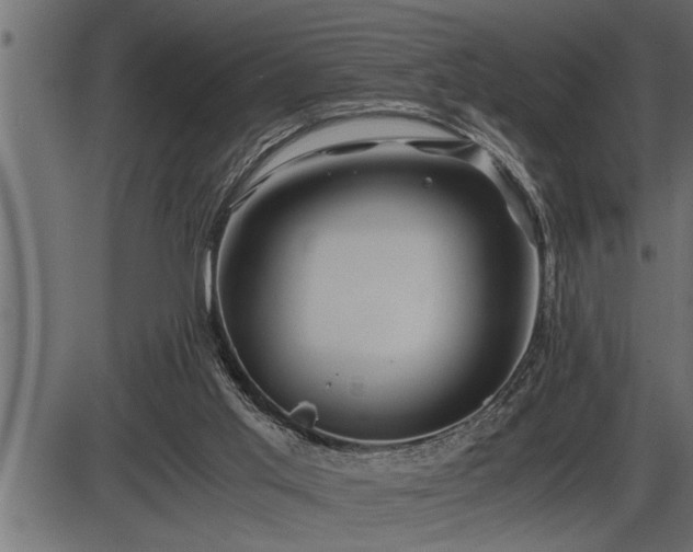 X0000086290013200704091007