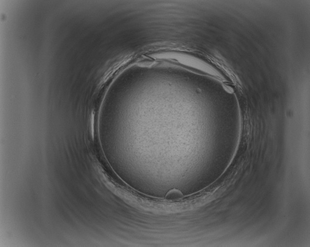 X0000086290014200704091007