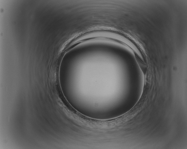 X0000086290015200704091007