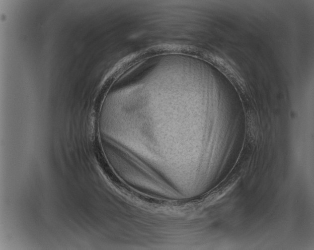 X0000086290016200704091007