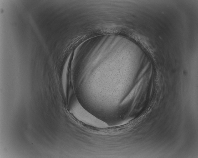 X0000086290017200704091007